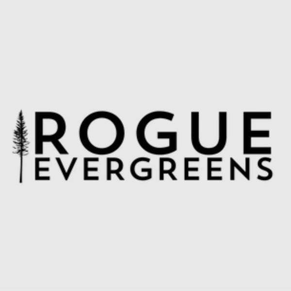 Rogue Evergreens